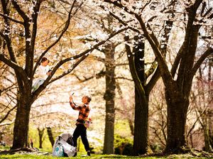 Asyik! Jepang Buka Pintu untuk Grup Turis Mulai 10 Juni