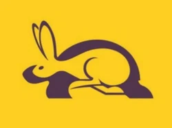 Tes Kepribadian: Gambar Kelinci atau Kura-kura yang Pertama Kali Kamu Lihat?