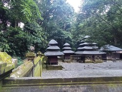 Bukan Monkey Forest, Ini Alas Kedaton di Tabanan