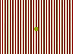 Video Ilusi Optik Viral, Bikin Mata Berhalusinasi