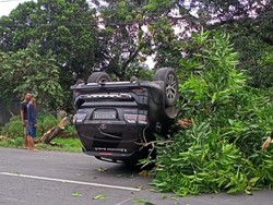 Sopir Diduga Mengantuk, Fortuner Terbalik Setelah Tabrak Pohon