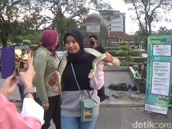 Serunya Ngabuburit Sambil Edukasi Reptil di Sumedang