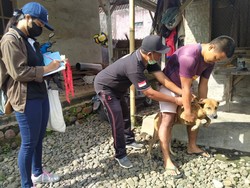 Kasus Gigitan Rabies di Jembrana Naik Tajam, Tertinggi di Bali