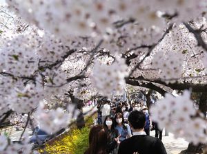 Korsel Krisis Bayi Imbas Resesi Seks, Kenapa Warga Ogah Punya Anak?