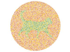 Hewan Apa Ini? Salah Tebak Bisa Jadi karena Nggak Fokus Puasa atau Buta Warna