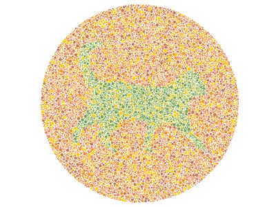 Hewan Apa Ini? Salah Tebak Bisa Jadi karena Nggak Fokus Puasa atau Buta Warna