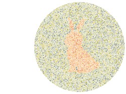 Yakin Nggak Punya Masalah Mata? Buktikan dengan Tes Buta Warna Ini