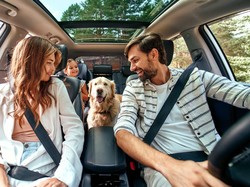 Studi Ungkap Anjing Diam-diam Menguping Obrolan Manusia, Bisa Belajar Kata-kata?