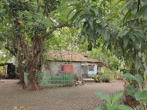 Berziarah ke Makam Mpi Siun, Sang Penyebar Islam di Tanah Depok