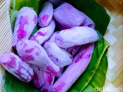 Menggoda Selera, Tapai Ungu Khas Bondowoso Cocok untuk Menu Takjil