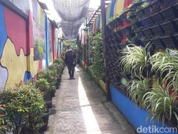 Yuk Healing di Kampung Bunga Pucangan Hasil Swadaya Masyarakat Kota Pasuruan