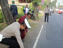 Tabrak Pohon Asem, Pemotor di Buleleng Tewas, Satu Selamat