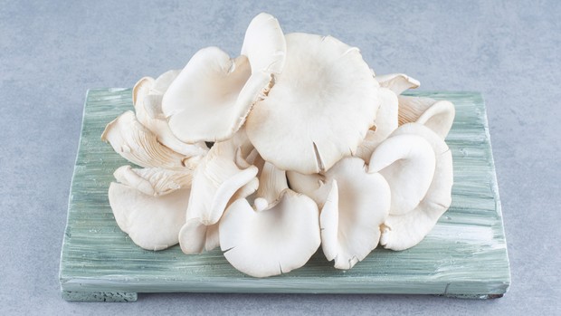 Makanan yang direkomendasikan