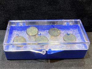 Debu Bulan yang Dibawa Neil Amstrong, Dilelang Rp 11,5 Miliar