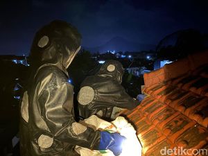 Menegangkan, Damkar Trenggalek Evakuasi Sarang Tawon Vespa di Rumah Warga Menegangkan, Damkar Trenggalek Evakuasi Sarang Tawon Vespa di Rumah Warga