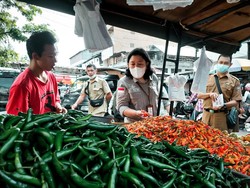 Kementan Pastikan Stok Pangan di Kalteng Aman untuk Ramadan dan Lebaran