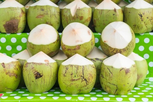 Buah Kelapa Buah kelapa kaya akan nutrisi