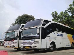 Mudik Naik Damri, Coba Duduk di Royal Class, Tarifnya Rp 300 Ribuan
