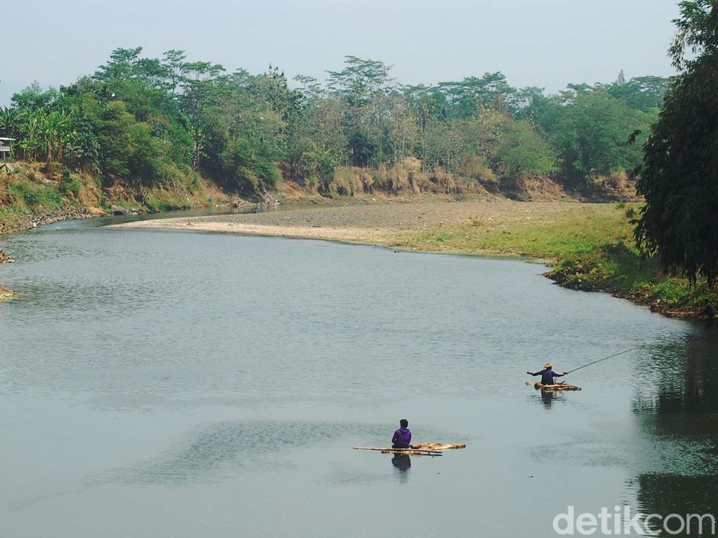 Sungai Citanduy-Ciwulan Tercemar, 19 Jenis Ikan Ini Mulai Sulit Didapat