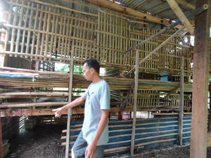 Misteri Pencurian Kambing di Depok yang Hanya Sisakan Jeroan Misteri Pencurian Kambing di Depok yang Hanya Sisakan Jeroan