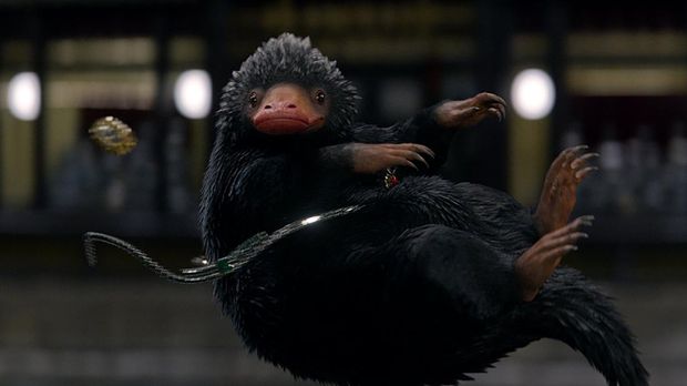Karakter Niffler dalam Fantastic Beasts: The Secrets of Dumbledore Karakter Niffler dalam Fantastic Beasts: The Secrets of Dumbledore