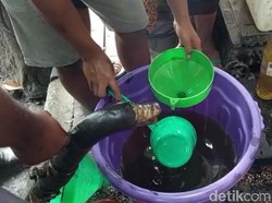 HMI Dorong KPPU Ungkap Kartel Minyak Goreng ke Publik