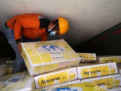 100 Ribu Ton Daging Kerbau India Masuk RI Mulai Maret