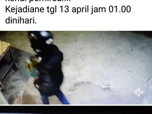 Tertangkap CCTV, Aksi Emak-Emak Sikat Tanaman Hias di Ruko Klaten