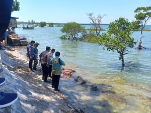 Polairud Selidiki Sapi-sapi Mengambang di Pantai Camplong Sampang Polairud Selidiki Sapi-sapi Mengambang di Pantai Camplong Sampang