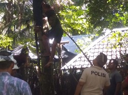 Jik Ping! Pria di Buleleng Gantung Diri karena Masalah Ekonomi