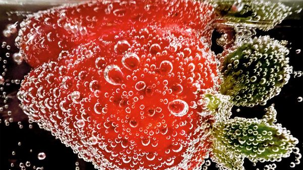 Karya Jawara Kontes Foto Makro Apple yang Memukau Mata