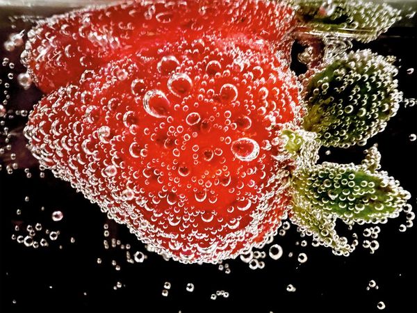 Karya Jawara Kontes Foto Makro Apple yang Memukau Mata