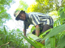 Keluarga Slamet Mencari Keselamatan Hidup dari Tusuk-Tusuk Sate, Mari Bantu