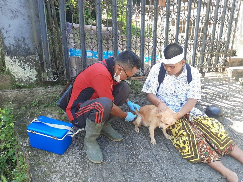 Awal 2022, Ada Puluhan Kasus Gigitan Anjing Rabies di Karangasem