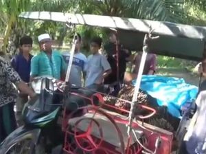 Apes! Kelamaan Angkut Sawit Curian, Maling Ini Tinggalkan Becaknya