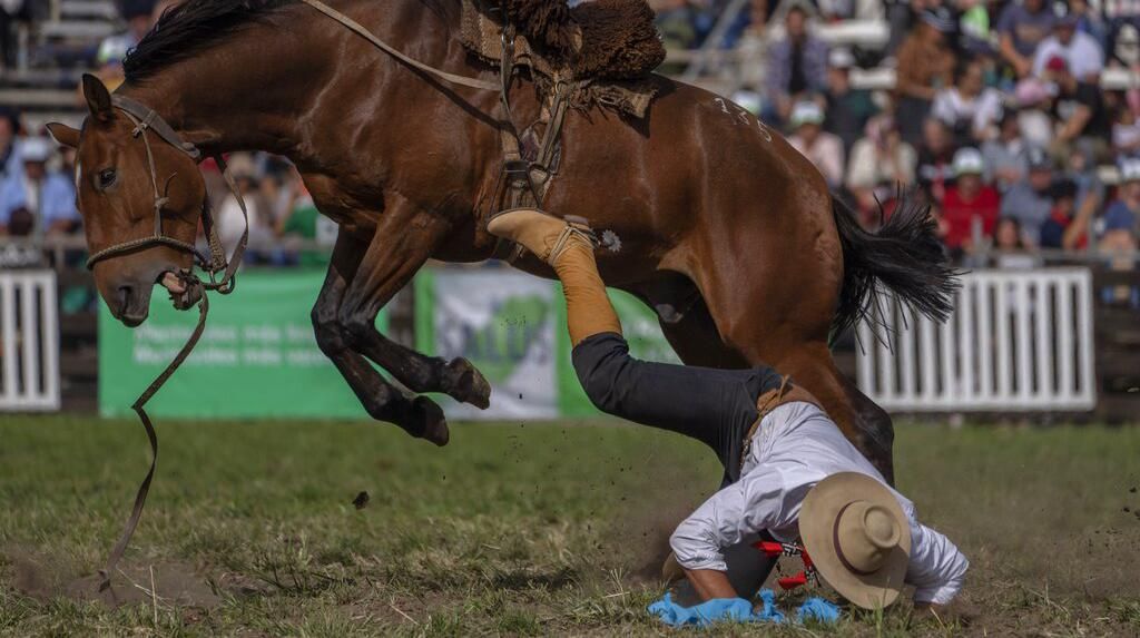 Uji Nyali Para Koboi Paraguay Taklukan Kuda Liar Saat Pekan Paskah