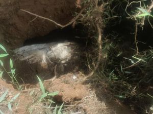 Terungkap Kondisi Sebenarnya Jasad Disebut Utuh di Labuhanbatu