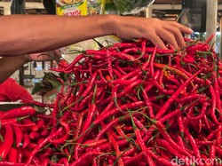 Menko Luhut Ajak Bupati Dirikan Pertanian Pangan Kecil-kecilan
