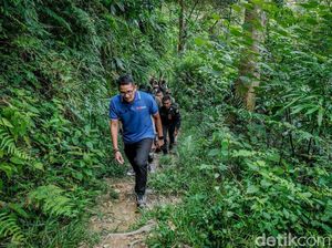 Cerita Sandiaga Ketemu Orangutan dan Bercengkrama di Bukit Lawang