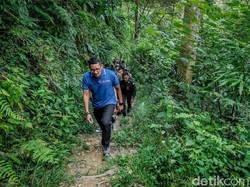 Cerita Sandiaga Ketemu Orangutan dan Bercengkrama di Bukit Lawang