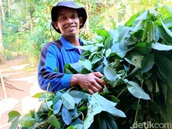 Info Maseee! Berbincang dengan Teguh Gibin yang Viral Ciptakan Mars Pertukangan