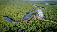 Mantul Nih, Pemandangan Tower Mangrove Forest Park Langsa