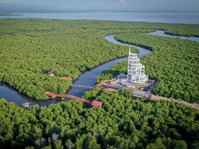 Mantul Nih, Pemandangan Tower Mangrove Forest Park Langsa