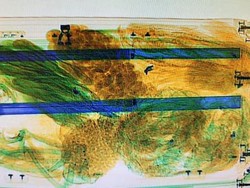 Ngeyel Bawa Daging Terlarang Lewat Bandara Paling Ketat di Dunia, dan Bermasalah