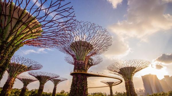 Potret Taman Terindah di Dunia, Ada Pohon Buatan Setinggi 50 Meter