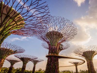 Potret Taman Terindah di Dunia, Ada Pohon Buatan Setinggi 50 Meter