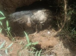 Begini Kondisi Jasad yang Disebut Utuh di Sumut Usai 20 Tahun Dikubur