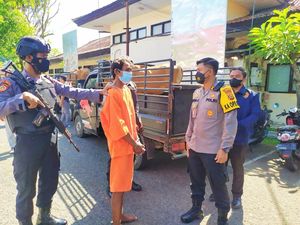 Polisi Dalami Kasus Pencurian Sapi di Jembrana, Ada TKP Lain?