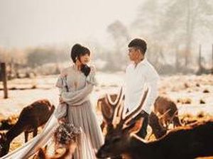Wendy Walters Ketahuan 2 Kali Ubah Caption Foto Nikah dengan Reza Arap Wendy Walters Ketahuan 2 Kali Ubah Caption Foto Nikah dengan Reza Arap