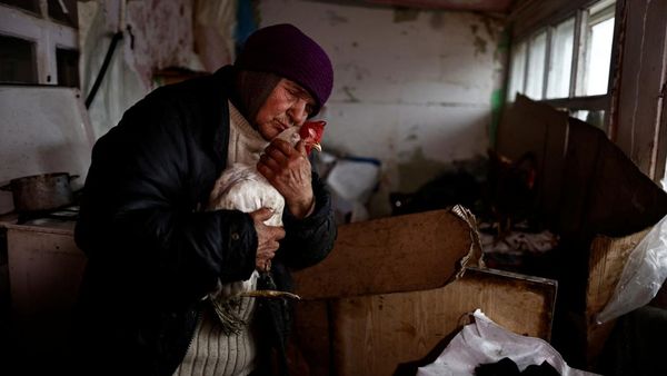 Ayam Peliharaan Selamatkan Hidup Nenek Ukraina saat Perang